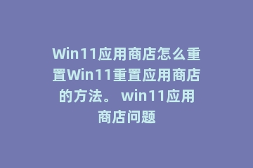 Win11应用商店怎么重置Win11重置应用商店的方法。 win11应用商店问题