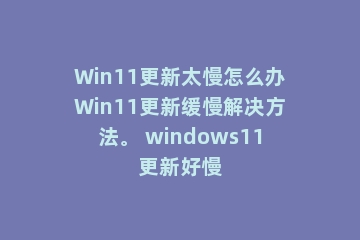 Win11更新太慢怎么办Win11更新缓慢解决方法。 windows11更新好慢