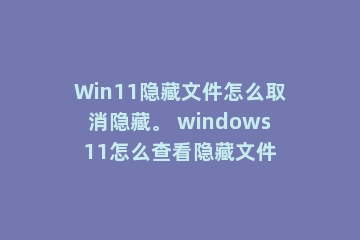Win11隐藏文件怎么取消隐藏。 windows11怎么查看隐藏文件