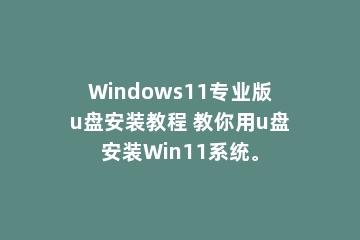Windows11专业版u盘安装教程 教你用u盘安装Win11系统。