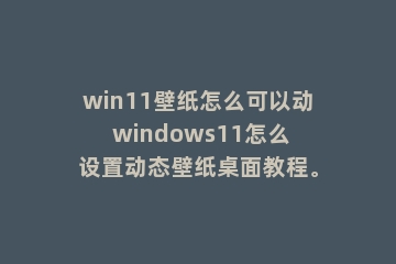 win11壁纸怎么可以动 windows11怎么设置动态壁纸桌面教程。