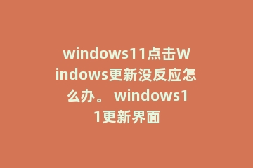 windows11点击Windows更新没反应怎么办。 windows11更新界面