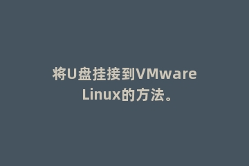 将U盘挂接到VMware Linux的方法。