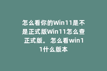 怎么看你的Win11是不是正式版Win11怎么查正式版。 怎么看win11什么版本