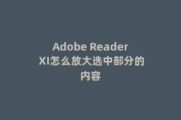 Adobe Reader XI怎么放大选中部分的内容