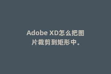 Adobe XD怎么把图片裁剪到矩形中。