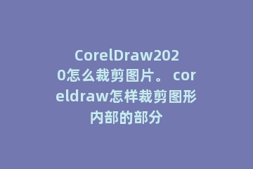 CorelDraw2020怎么裁剪图片。 coreldraw怎样裁剪图形内部的部分