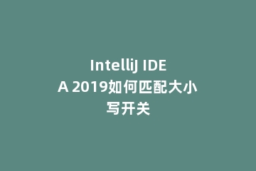 IntelliJ IDEA 2019如何匹配大小写开关
