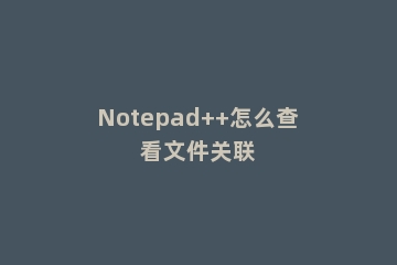 Notepad++怎么查看文件关联
