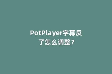PotPlayer字幕反了怎么调整？