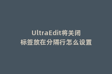 UltraEdit将关闭标签放在分隔行怎么设置