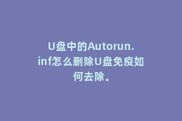 U盘中的Autorun.inf怎么删除U盘免疫如何去除。
