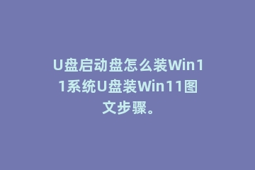 U盘启动盘怎么装Win11系统U盘装Win11图文步骤。