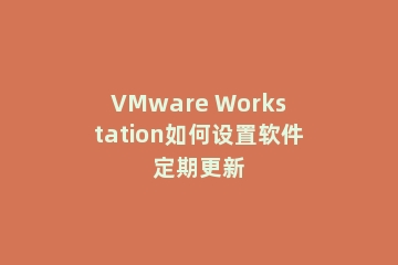 VMware Workstation如何设置软件定期更新