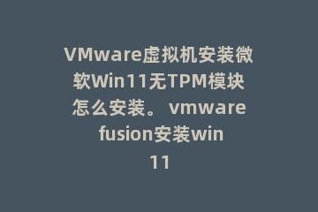 VMware虚拟机安装微软Win11无TPM模块怎么安装。 vmware fusion安装win11