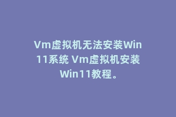 Vm虚拟机无法安装Win11系统 Vm虚拟机安装Win11教程。