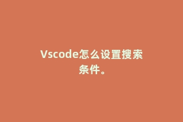 Vscode怎么设置搜索条件。