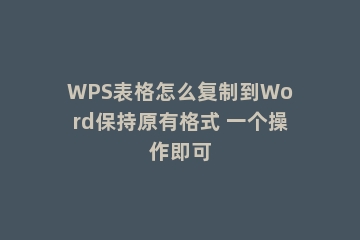WPS表格怎么复制到Word保持原有格式 一个操作即可