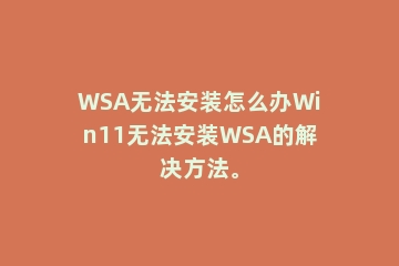 WSA无法安装怎么办Win11无法安装WSA的解决方法。