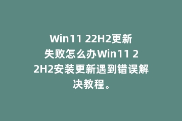 Win11 22H2更新失败怎么办Win11 22H2安装更新遇到错误解决教程。