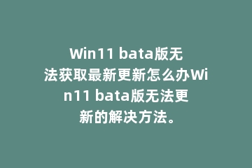 Win11 bata版无法获取最新更新怎么办Win11 bata版无法更新的解决方法。