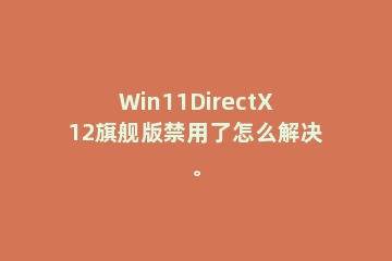 Win11DirectX12旗舰版禁用了怎么解决。
