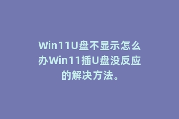 Win11U盘不显示怎么办Win11插U盘没反应的解决方法。