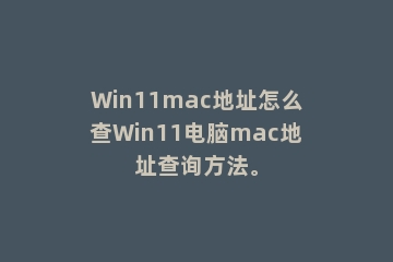 Win11mac地址怎么查Win11电脑mac地址查询方法。