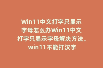 Win11中文打字只显示字母怎么办Win11中文打字只显示字母解决方法。 win11不能打汉字