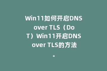 Win11如何开启DNS over TLS（DoT）Win11开启DNS over TLS的方法。