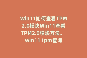 Win11如何查看TPM2.0模块Win11查看TPM2.0模块方法。 win11 tpm查询