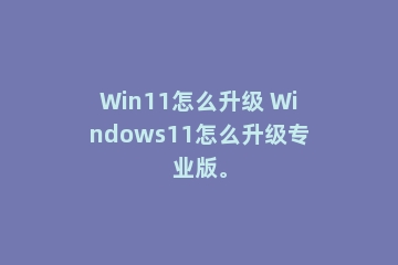 Win11怎么升级 Windows11怎么升级专业版。