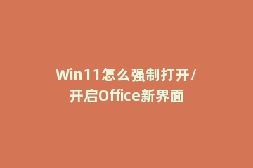 Win11怎么强制打开/开启Office新界面