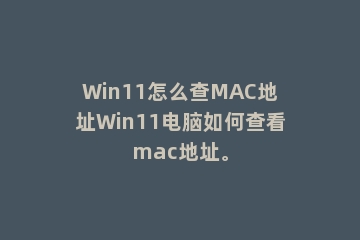 Win11怎么查MAC地址Win11电脑如何查看mac地址。