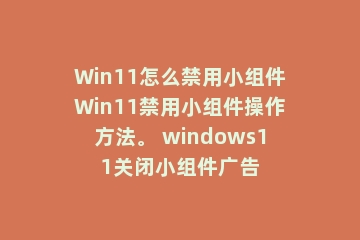 Win11怎么禁用小组件Win11禁用小组件操作方法。 windows11关闭小组件广告