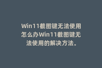 Win11截图键无法使用怎么办Win11截图键无法使用的解决方法。