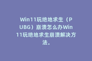 Win11玩绝地求生（PUBG）崩溃怎么办Win11玩绝地求生崩溃解决方法。