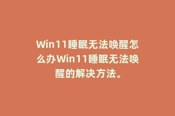 Win11睡眠无法唤醒怎么办Win11睡眠无法唤醒的解决方法。