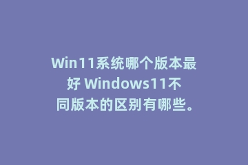 Win11系统哪个版本最好 Windows11不同版本的区别有哪些。