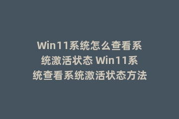 Win11系统怎么查看系统激活状态 Win11系统查看系统激活状态方法