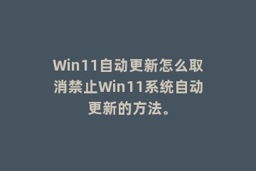 Win11自动更新怎么取消禁止Win11系统自动更新的方法。