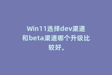 Win11选择dev渠道和beta渠道哪个升级比较好。