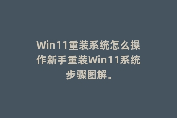 Win11重装系统怎么操作新手重装Win11系统步骤图解。