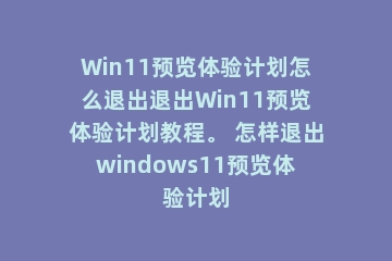 Win11预览体验计划怎么退出退出Win11预览体验计划教程。 怎样退出windows11预览体验计划