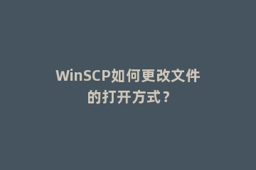 WinSCP如何更改文件的打开方式？