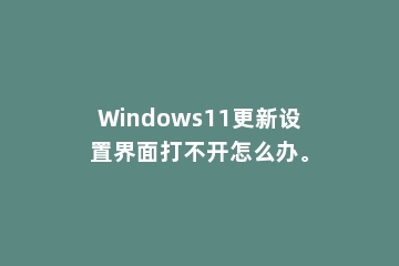 Windows11更新设置界面打不开怎么办。
