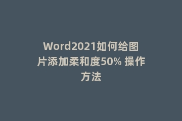 Word2021如何给图片添加柔和度50% 操作方法