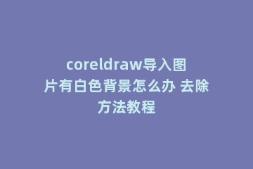 coreldraw导入图片有白色背景怎么办 去除方法教程