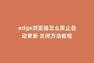 edge浏览器怎么禁止自动更新 关闭方法教程