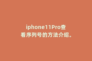 iphone11Pro查看序列号的方法介绍。